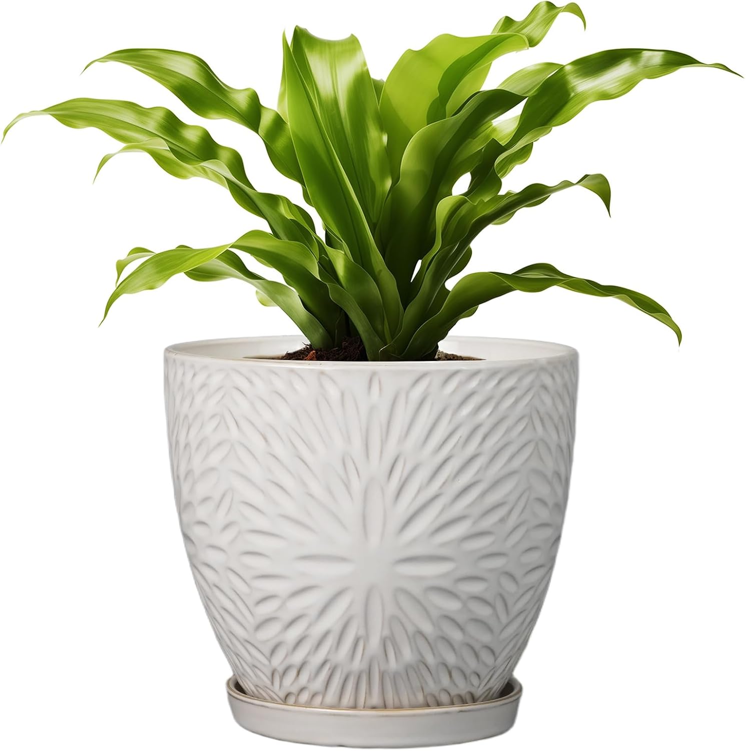 8 Inch Ceramic Plant Pot with Drainage Hole for Indoor Outdoor Use