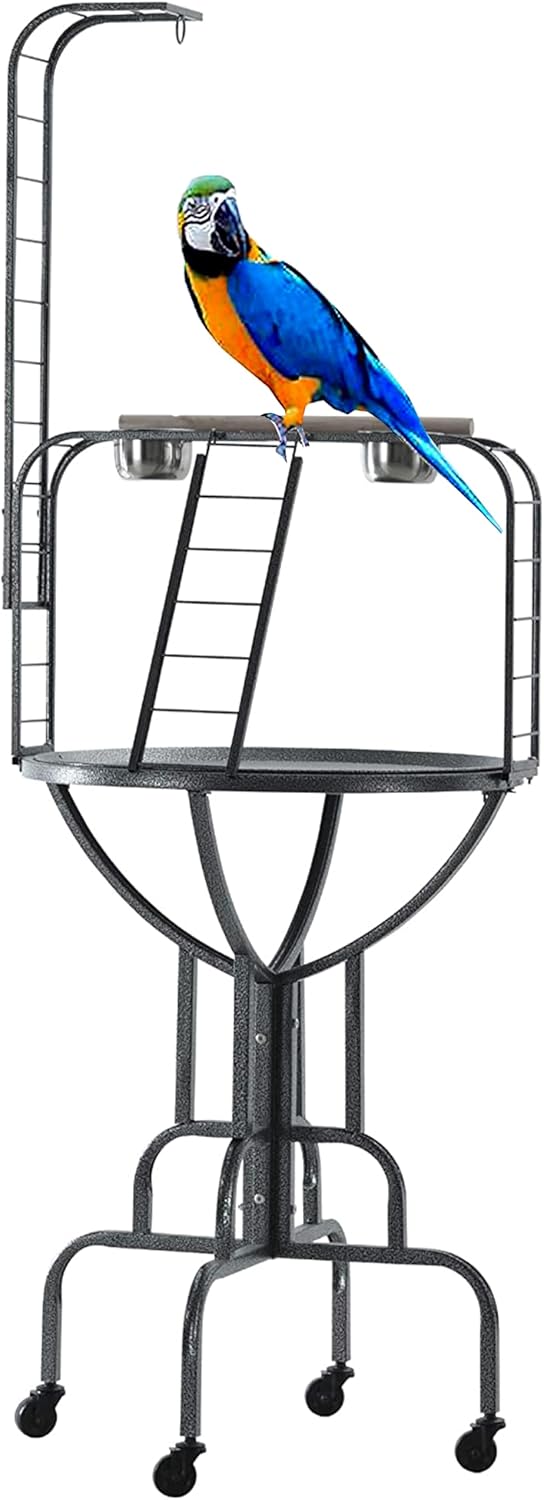 Elegant Durable Wrought Iron Parrot Bird Play Gym with Stand