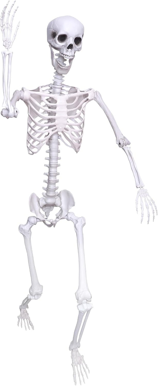 5.9Ft Life Size Posable Skeleton for Halloween Decorations