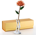 24K Gold Dipped Real Rose Preserved Keepsake - Timeless Gift