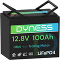 12V 100Ah Mini LiFePO4 Battery Group 24 - Compact 10-Year Lifespan