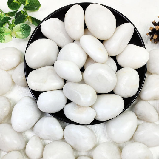 40lbs White River Rocks for Garden Landscaping and Decor