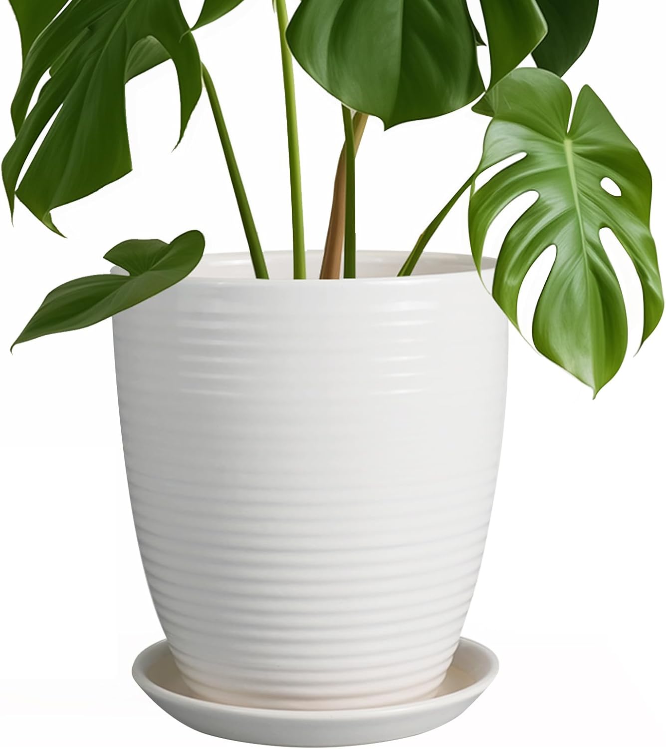 8 Inch Ceramic Planter Pot with Drainage Hole for Indoor Plants