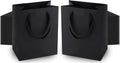 Black Gift Bags With Handles 8x5x10 in - 100 Pack MOXARYSU