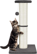 PAWSCRAT Cat Scratching Post 32in Tall for Indoor Cats