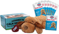 Snuggle Puppy Heartbeat Toy for Dogs - Anxiety Relief Solution