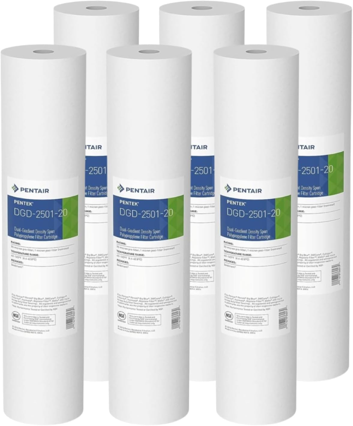 Pentair Pentek DGD-2501-20 Big Blue Water Filter Cartridge Review