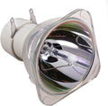 Araca Replacement Projector Bare Lamp BL-FU195 Series - Economical