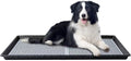 Dog Pee Pad Holder Tray 34x23 Large - Less Mess Indoor Dog Toilet