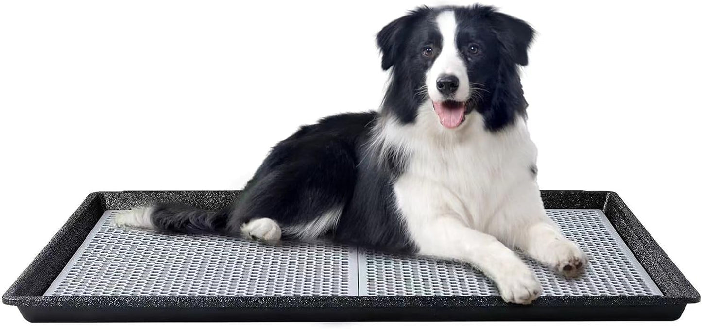 HQ4us Dog Pee Pad Holder Tray with Grate for Large Dogs
