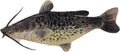Decorative Catfish Pillow Shell 20 x 54 in - Large Fish Shaped Cover