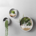 3 Pack Wall Planters Round Glass Hanging Planter Set - Modern Wall