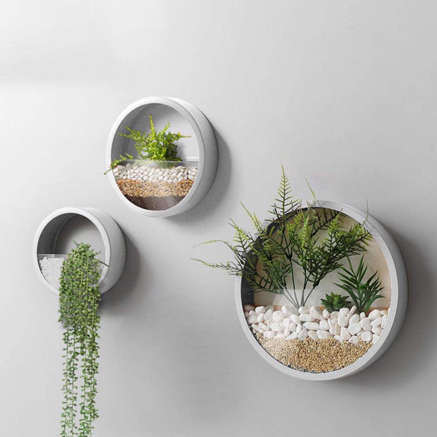 Modern Round Glass Wall Planters Set for Succulents and Herbs