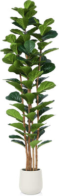 Artificial Fiddle Leaf Fig Tree with White Planter, 7ft Tall