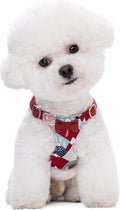 No Pull Small Dog Harness Suede Bow Red - Size S puppytie