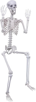 5.9Ft Halloween Life Size Posable Skeleton - Realistic Outdoor Decor