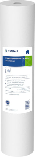 Pentair Pentek DGD-7525-20 Big Blue Water Filter for Clean Water