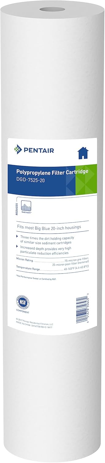 Pentair Pentek DGD-7525-20 Big Blue Water Filter for Clean Water