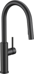FORIOUS Kitchen Faucet with Pull Down Sprayer - Matte Black High Arc