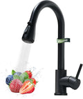 Black Kitchen Faucet with Pull Down Sprayer - Industrial Matte Black