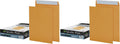 Self-Seal 9 in x 12 in Catalog Envelopes - Durable Kraft, Pack of 2