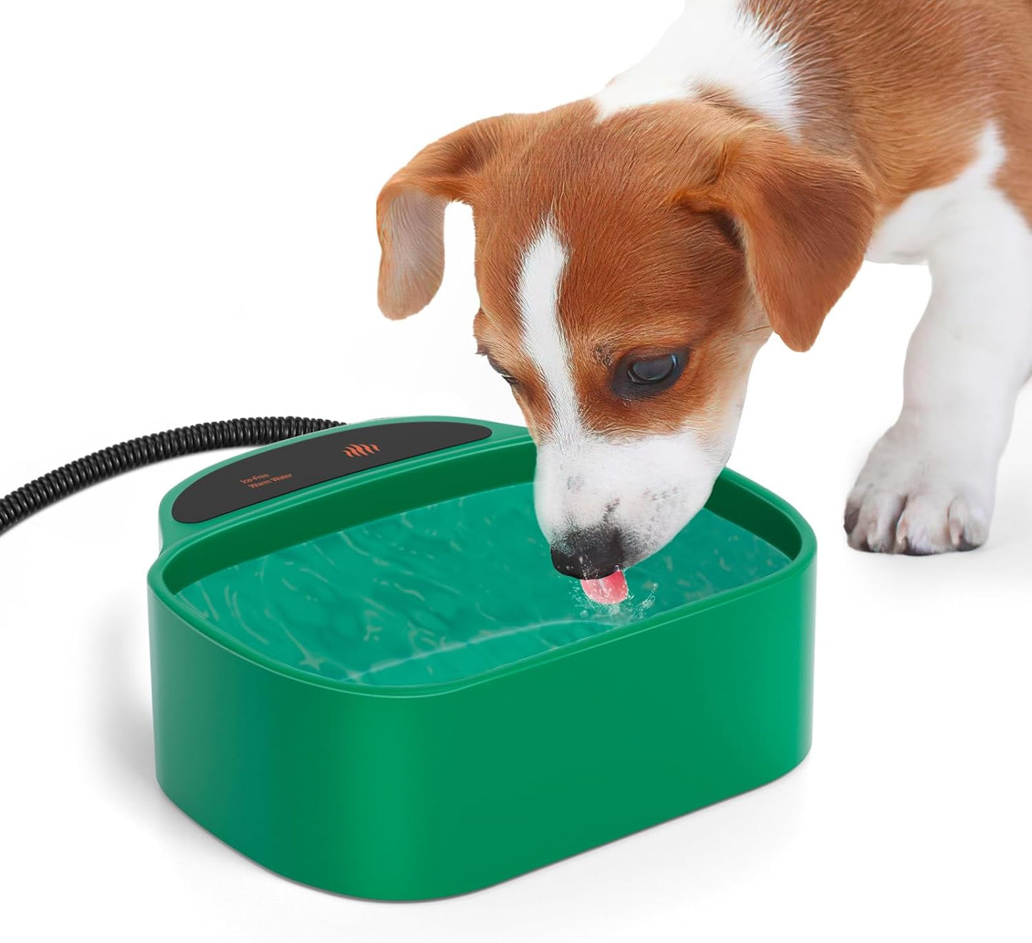 Chew-Proof Heated Water Bowl for Pets