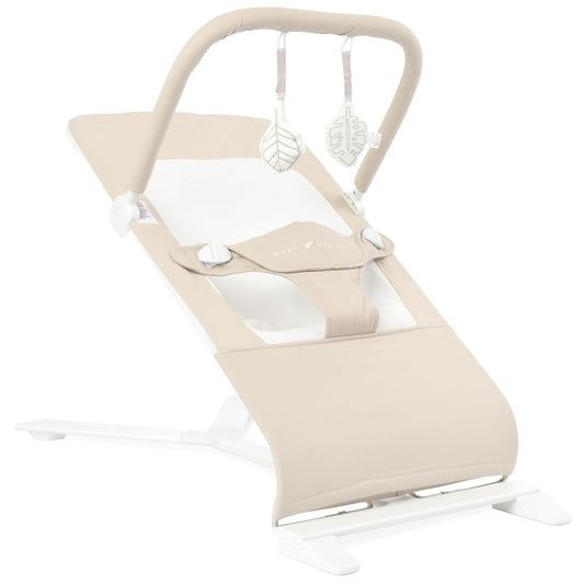 Baby Delight Alpine Deluxe Portable Bouncer for Infants 0-6 Months