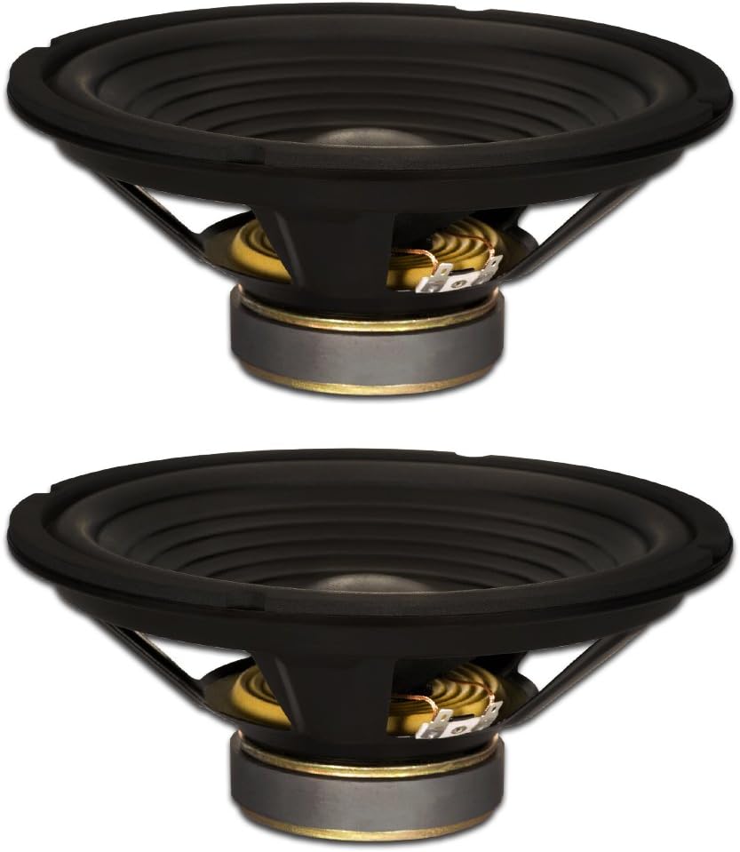 High-Performance 10 Stage Subwoofer Set - 220W Each