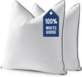 Goose Feather Down 18x18 Pillow Insert Set of 2 - Soft, Fluffy Support