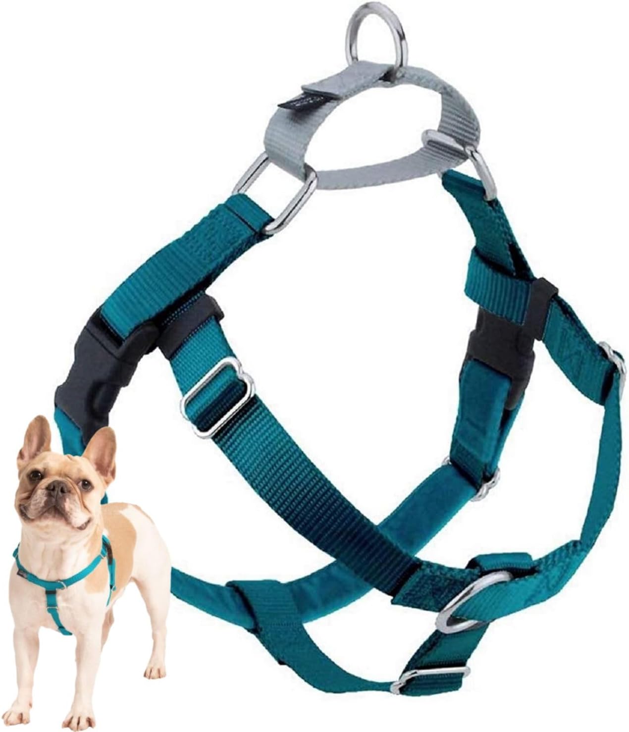 Freedom No Pull Dog Harness for Easy Walking & Control