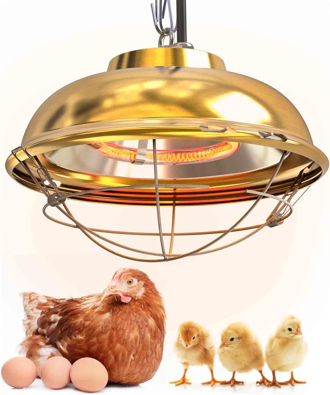 300W Waterproof Heat Lamp for Coops - LABODEY