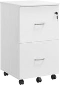 2-Drawer File Cabinet for Home Office - Locking Rolling Stand