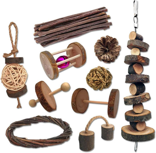 10-Piece Chew Toy Set for Small Pets by SNOMEL