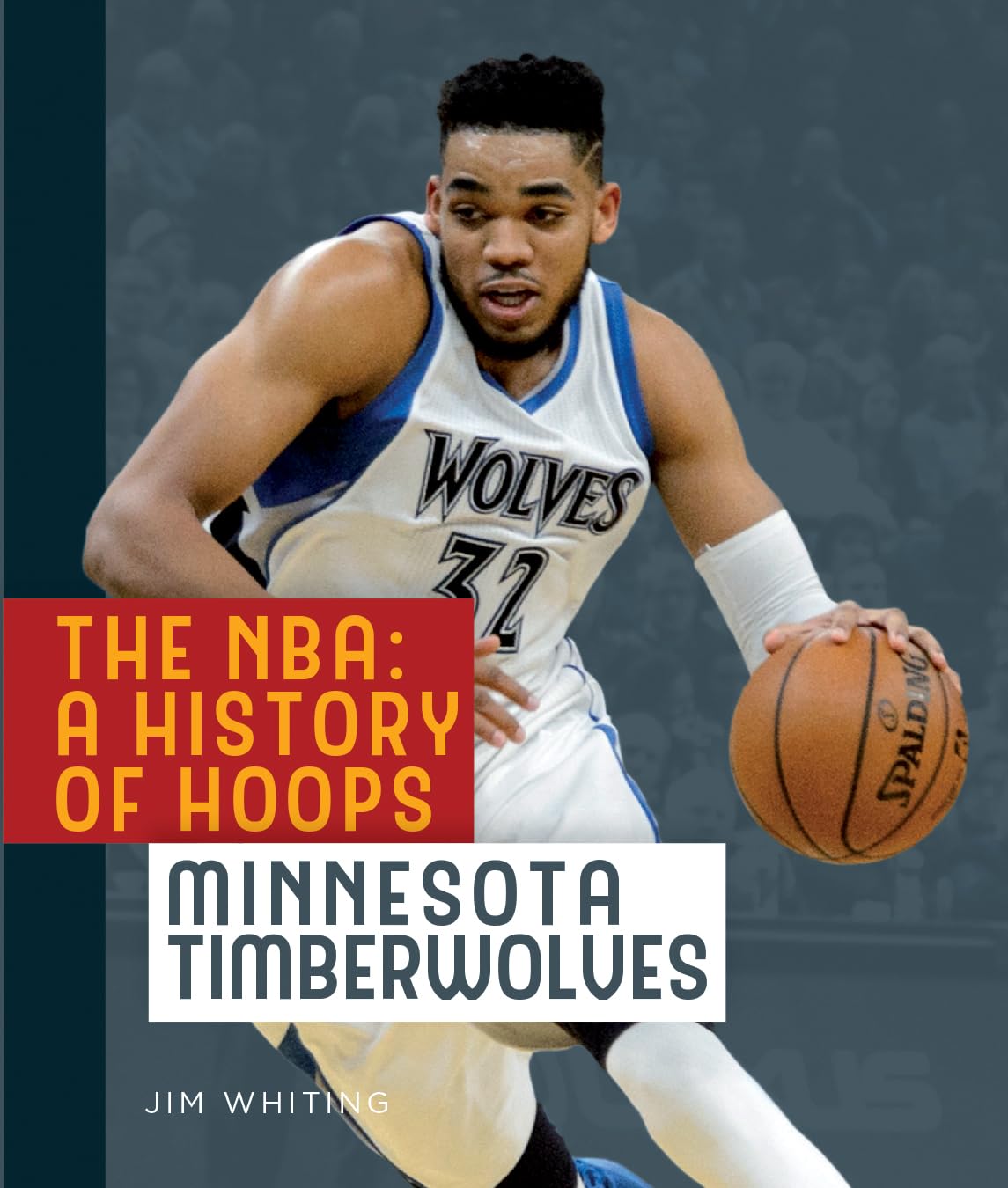 Minnesota Timberwolves: A Comprehensive History of Hoops
