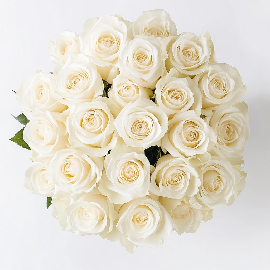 100 White Roses Bouquet - Fresh Flowers for Every Occasion