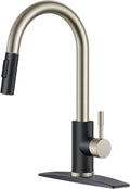Kitchen Faucet with Pull Down Sprayer - High Arc Black Brushed