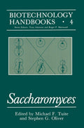 Saccharomyces (Biotechnology Handbooks) - Accessible Guide