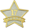 Gold & Silver Plated STAR Years of Service Lapel Pin - Elegant