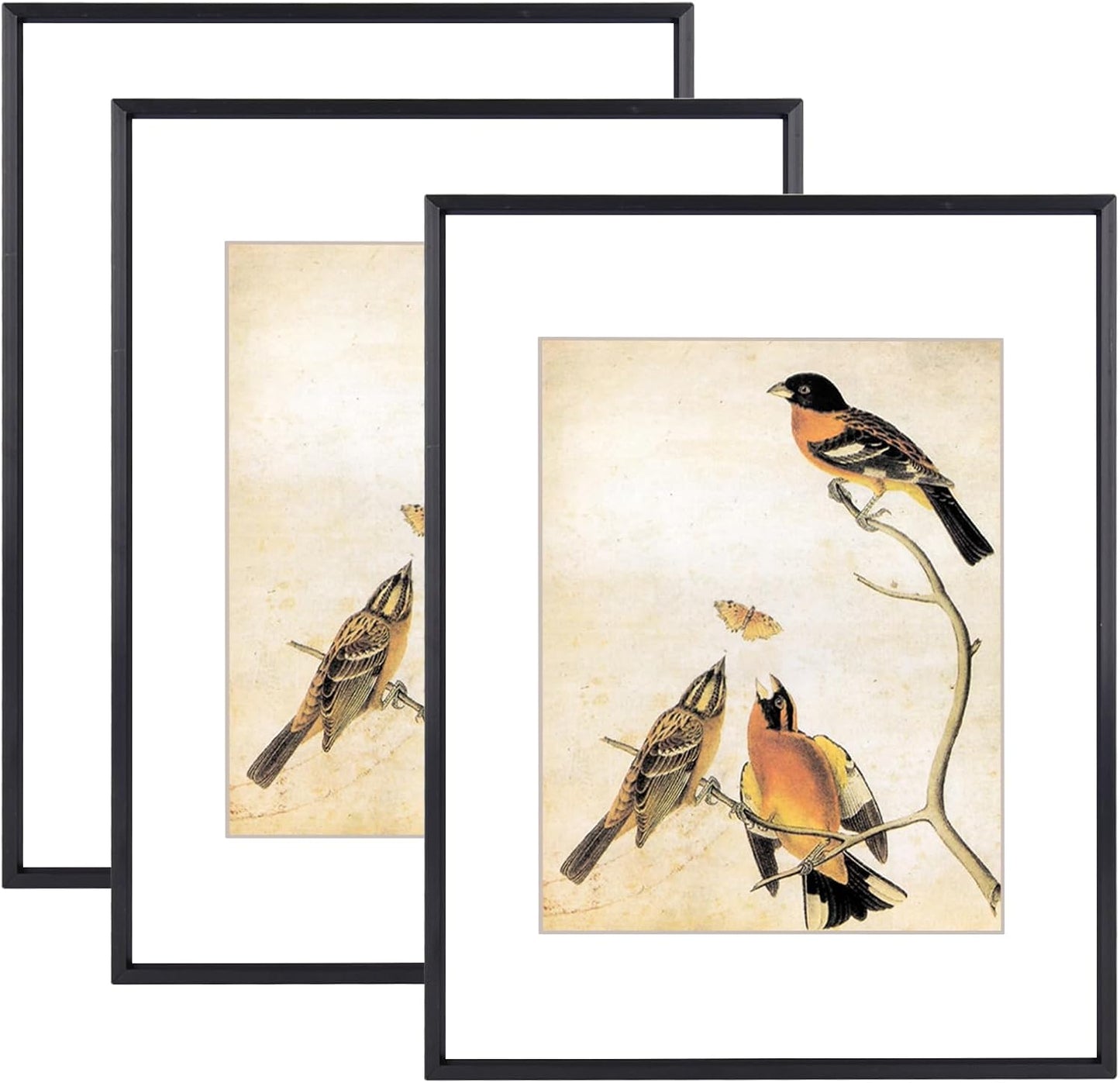 11x14 Picture Frame Set of 3, Black Metal Frames for Display