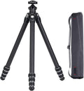 FALCAM TreeRoot Lite F38 Carbon Fiber Travel Tripod - Compact