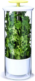 XXL Herb Keeper and Herb Saver Glass Storage Container - Keeps Greens