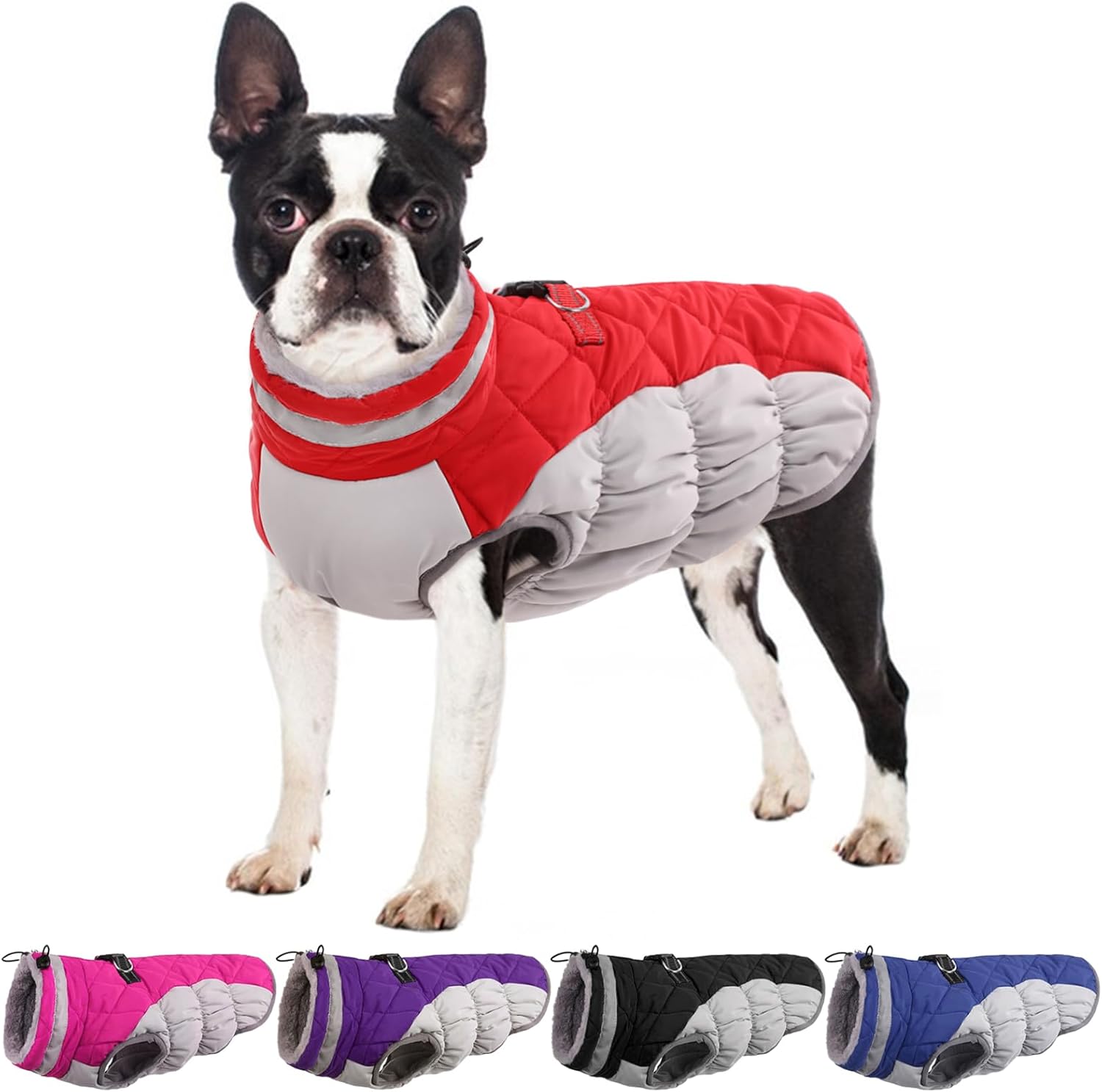 Warm Waterproof Dog Jackets for Medium Dogs - Cozy Winter Coat