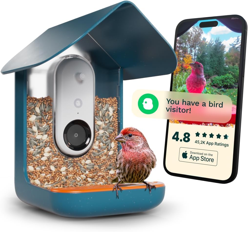 Bird Buddy Smart Feeder: Ai Bird ID, 5Mp Photos, 2K Video, Live Stream - Blue