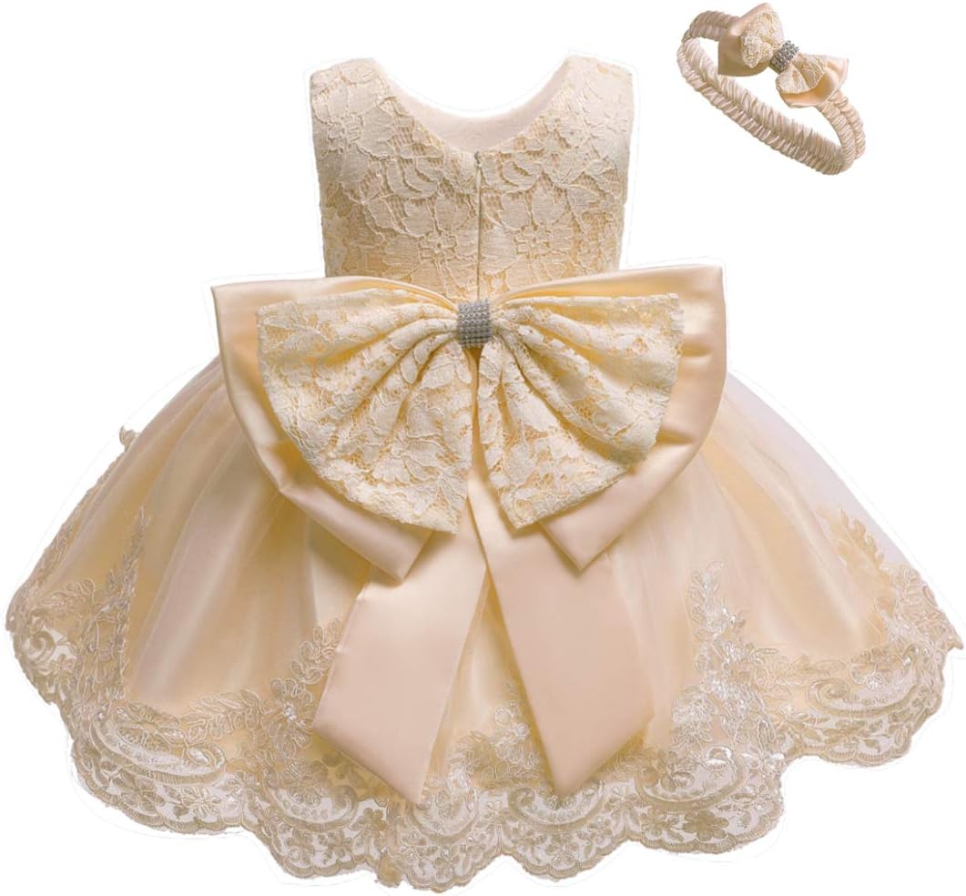 AIMJCHLD 0-6T Toddler Baby Girl Embroidered Tutu Dress