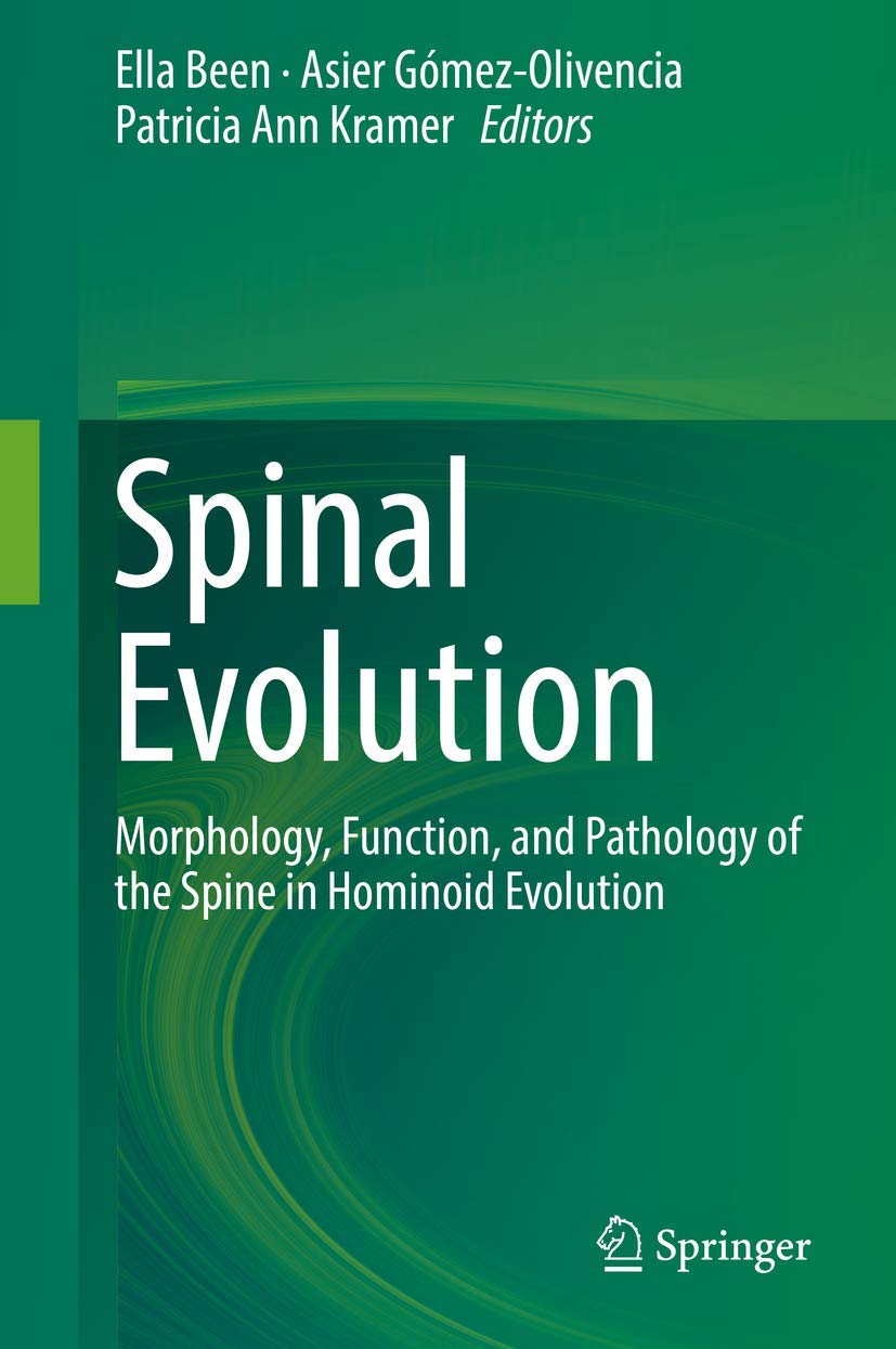 Spinal Evolution: Innovative Support for Back Health and Comfort