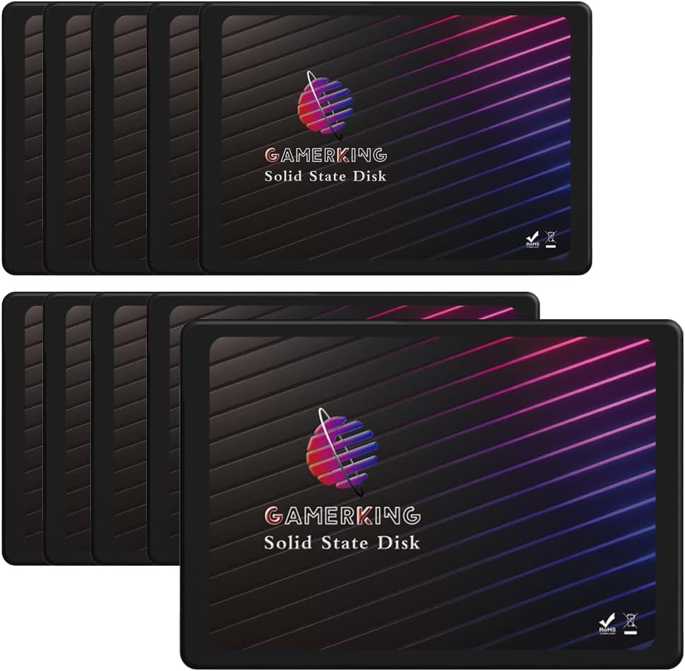 Gamerking SSD 2.5 SATA III 64GB High Performance Drive