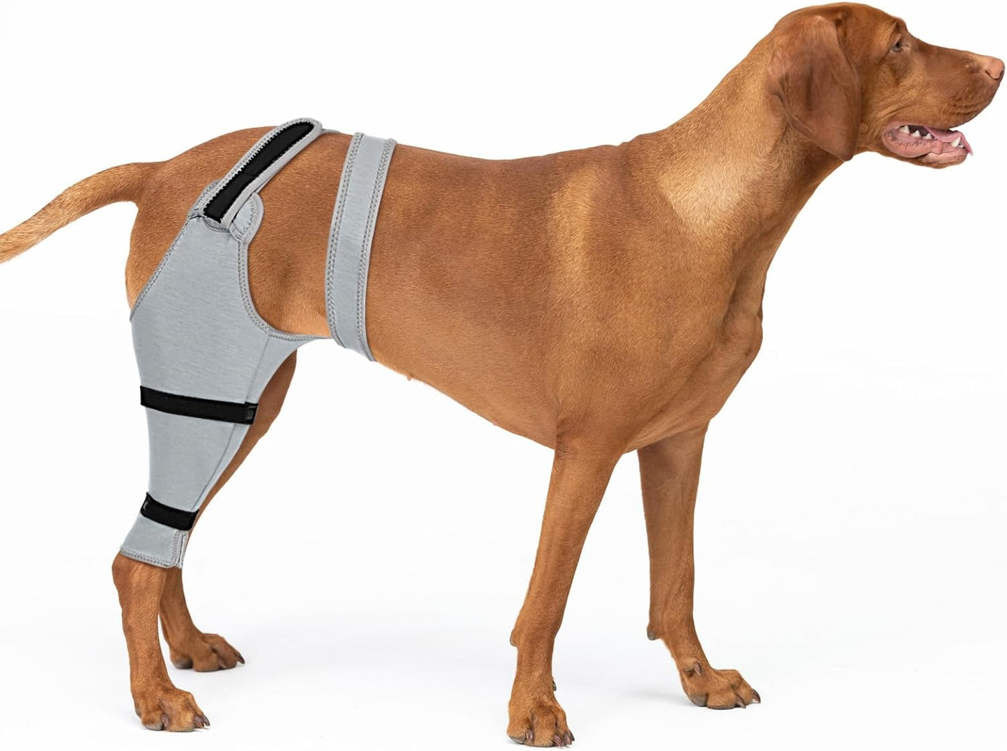 Dog Rear Leg Sleeve for Recovery After Surgery or Injury