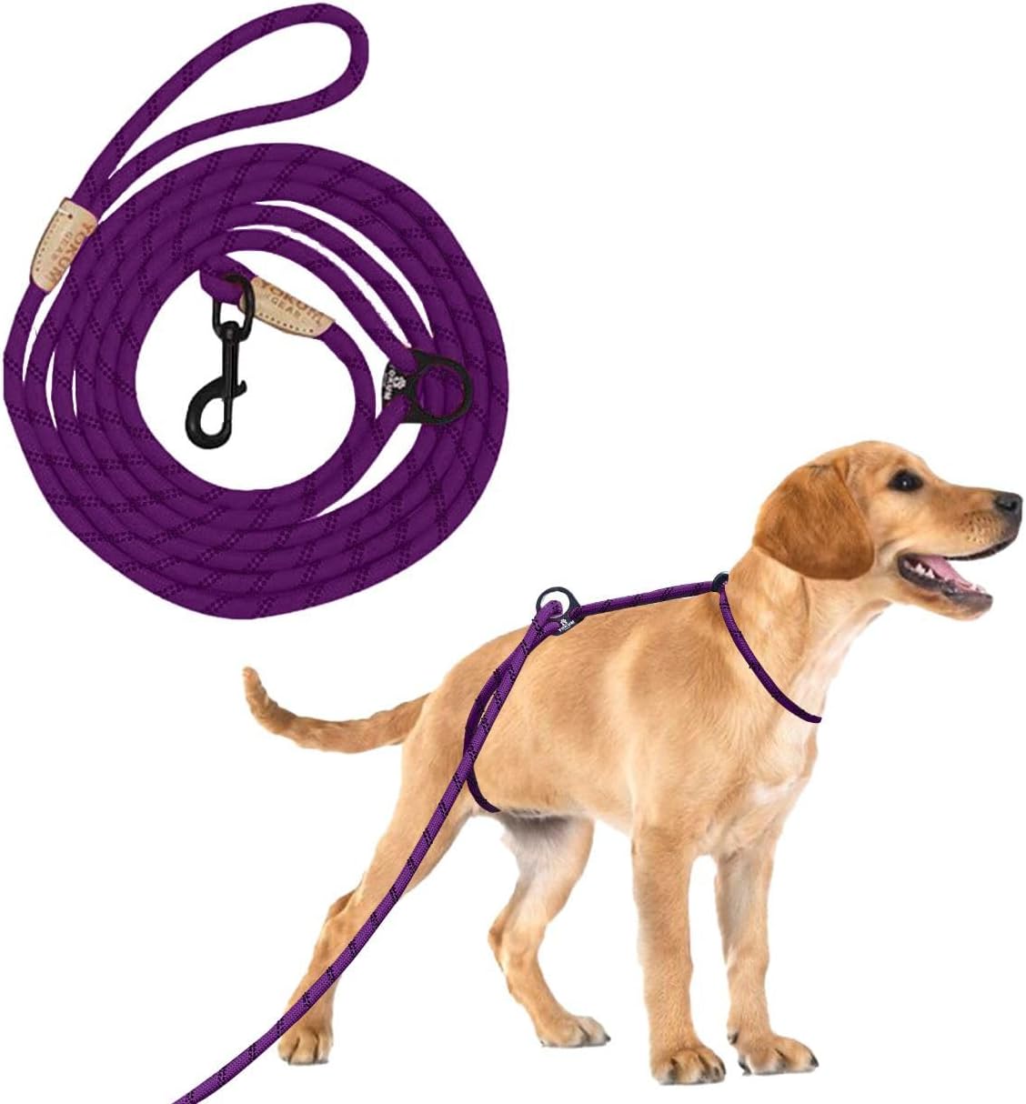 12ft No Pull No Choke Dog Leash for Comfortable Walks