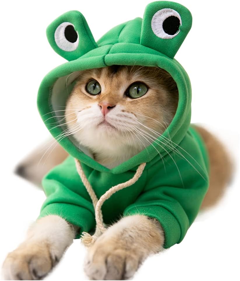 Cute Green Frog Hoodie for Pets - Richcatty