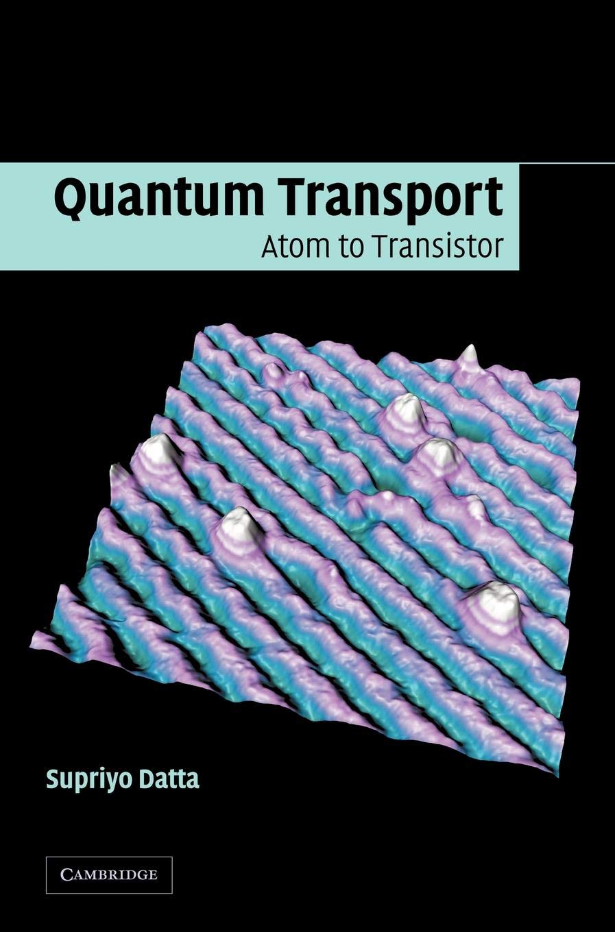 Quantum Chromodynamics: Perturbative and Nonperturbative Insights
